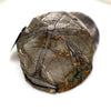 OBSC™ Baseball Hat
