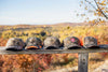 Realtree Camo Hat